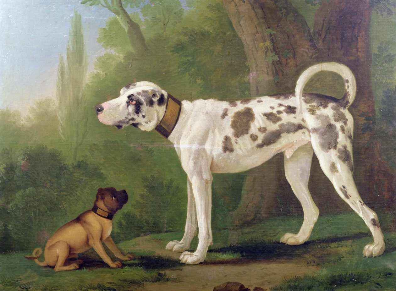 Hound and Terrier alkotó: German School