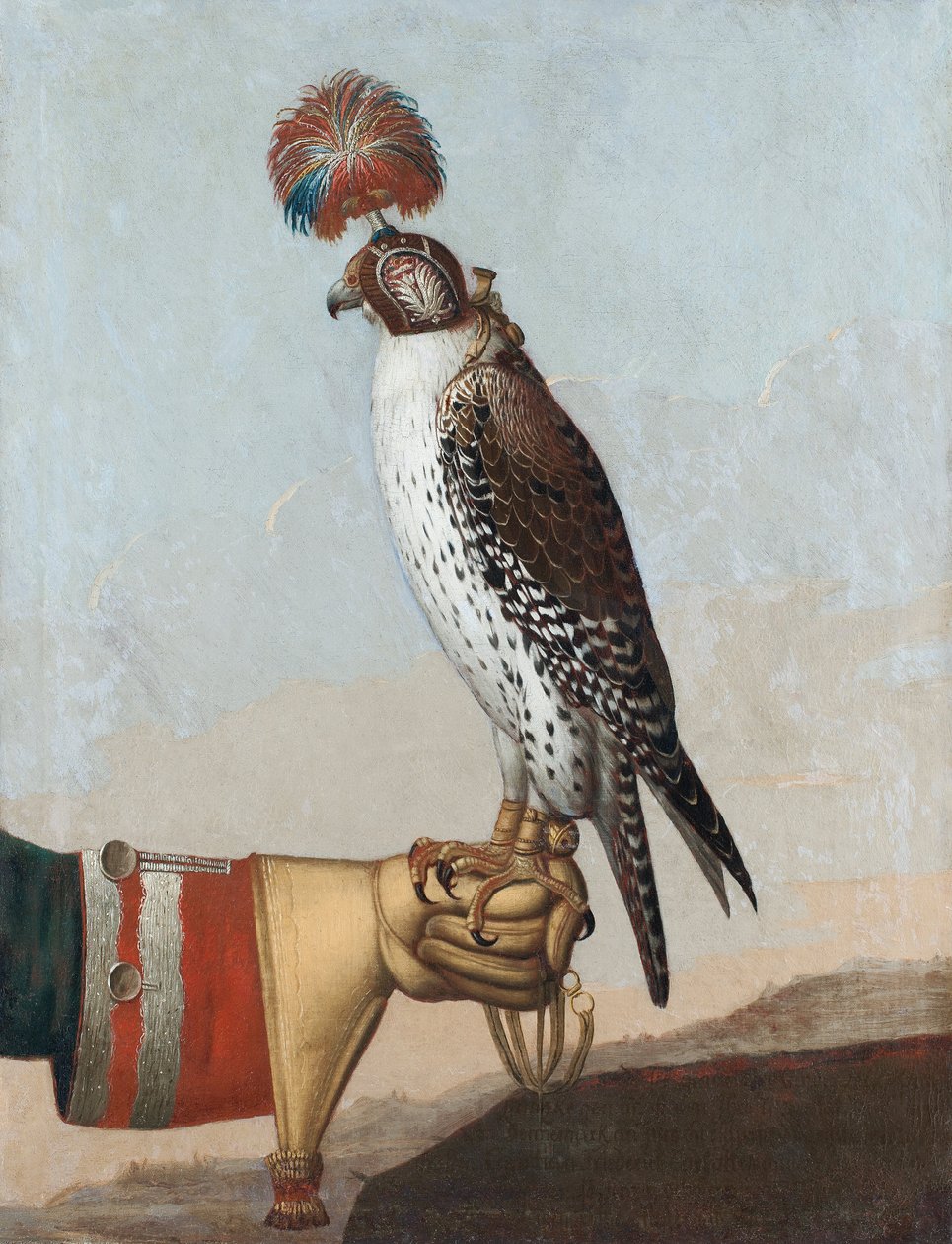 Izlandi gerfalcon, 1759 alkotó: German School