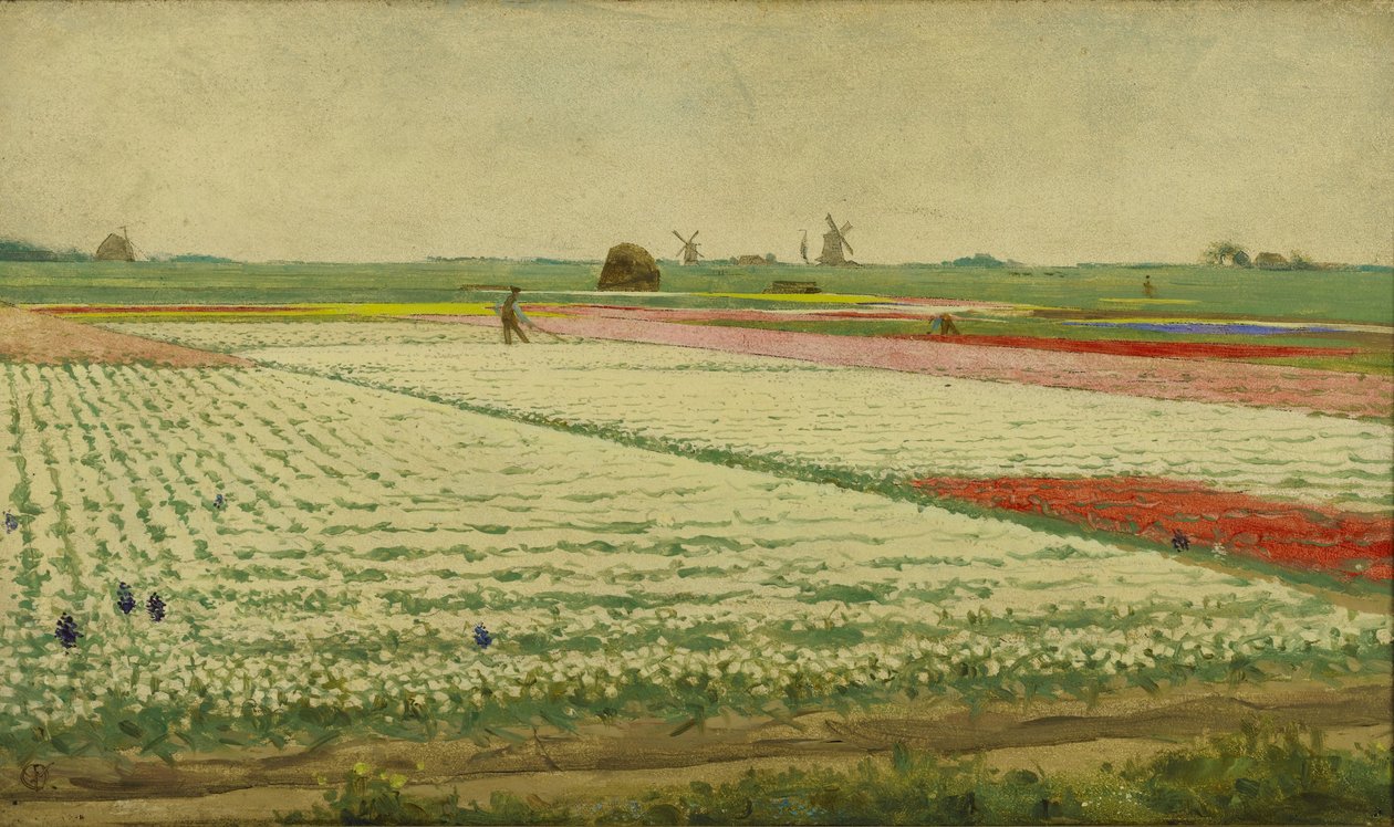 Tulipán mezők alkotó: Gerrit Willem Dijsselhof