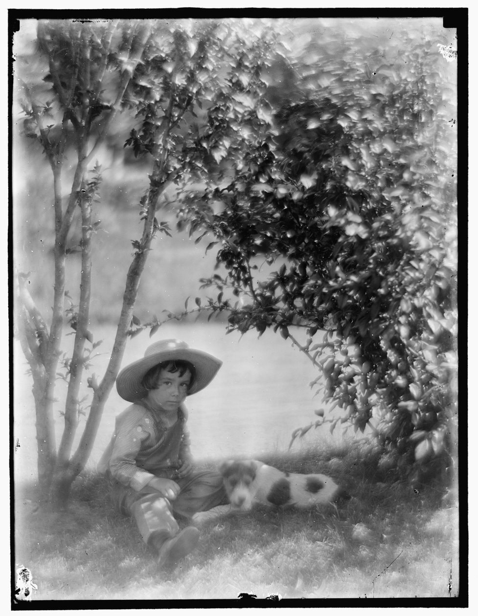 Fiú kutyával alkotó: Gertrude Käsebier