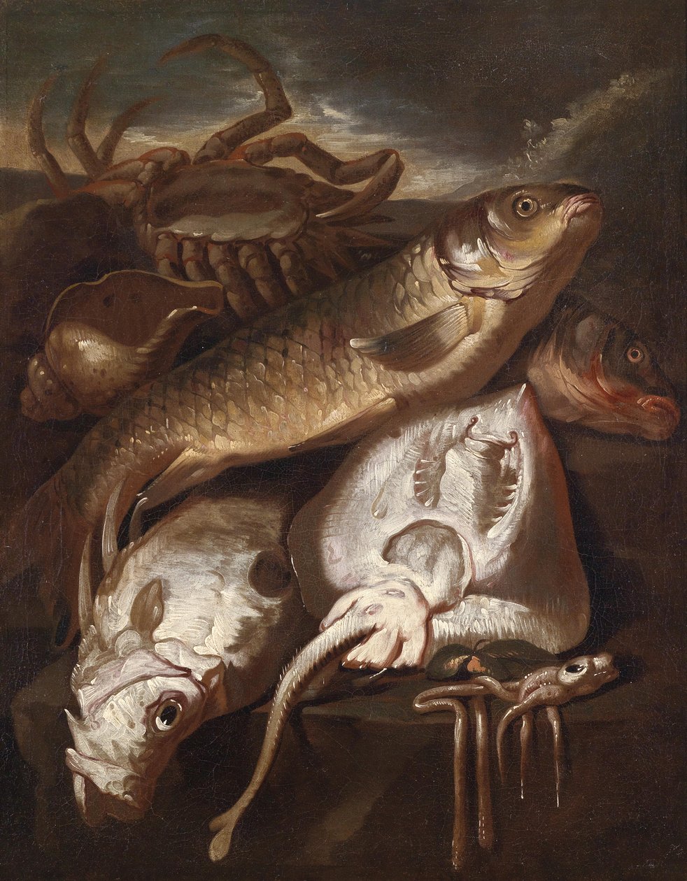 Hal csendélet alkotó: Giacomo Francesco Cipper