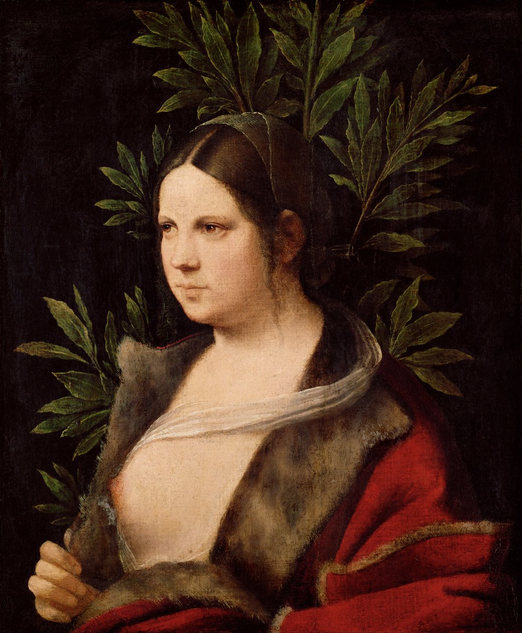 Fiatal nő ("Laura") alkotó: Giorgione
