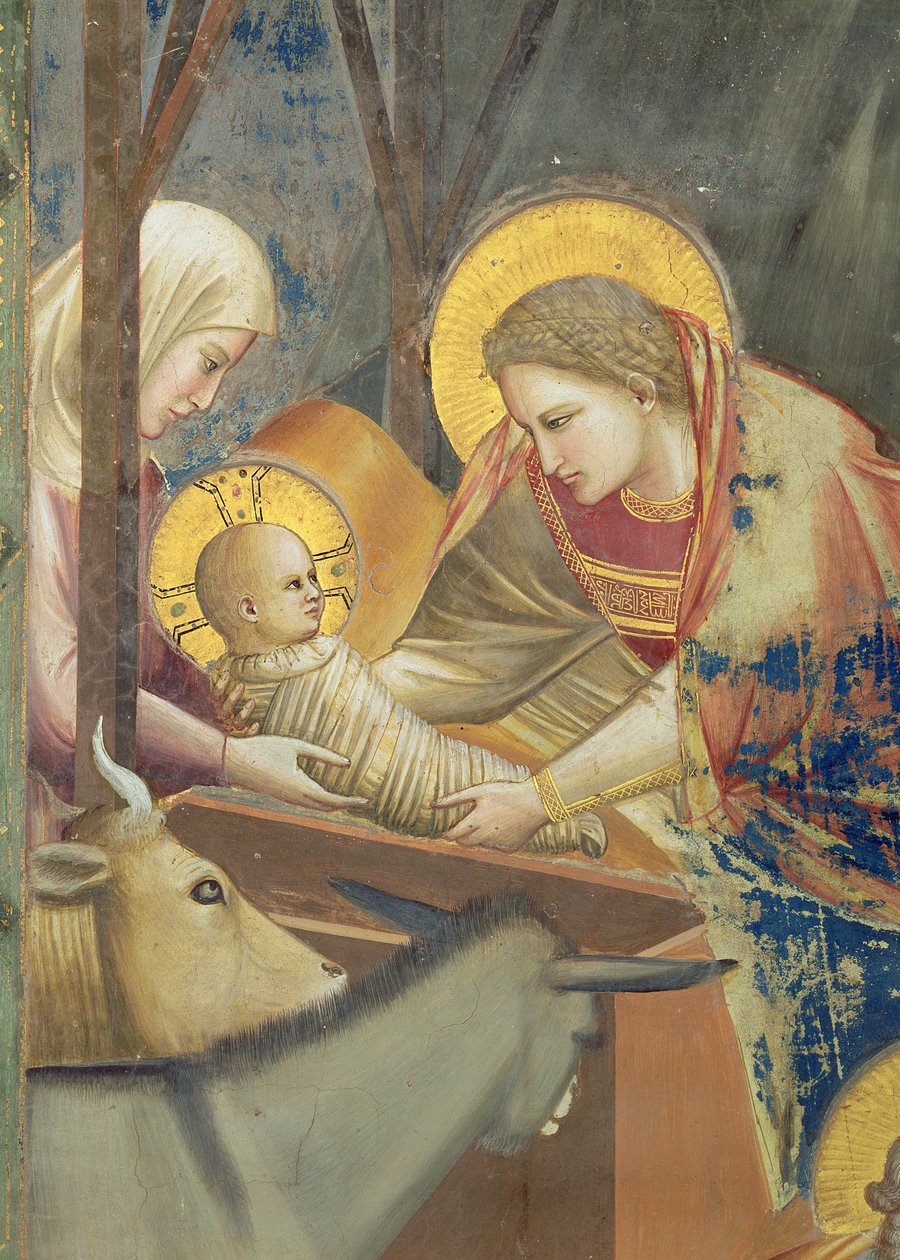 Születés, 1305 körül (freskó) (65197 részlete) alkotó: Giotto (c.1266 1337)