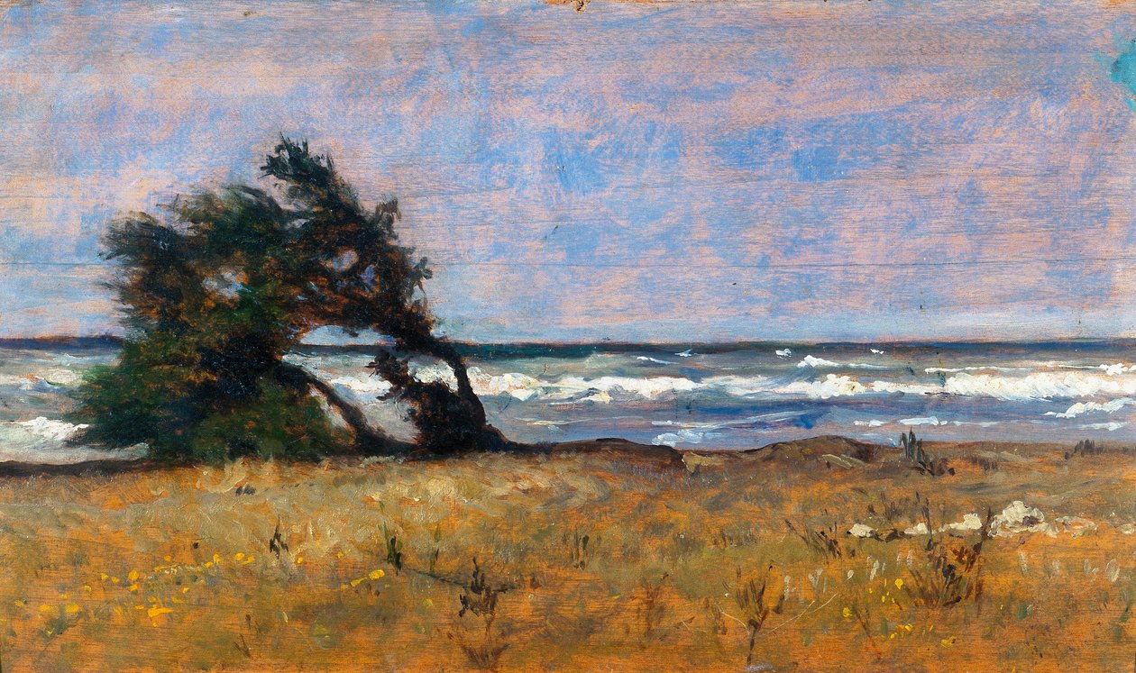 Vihar alkotó: Giovanni Fattori