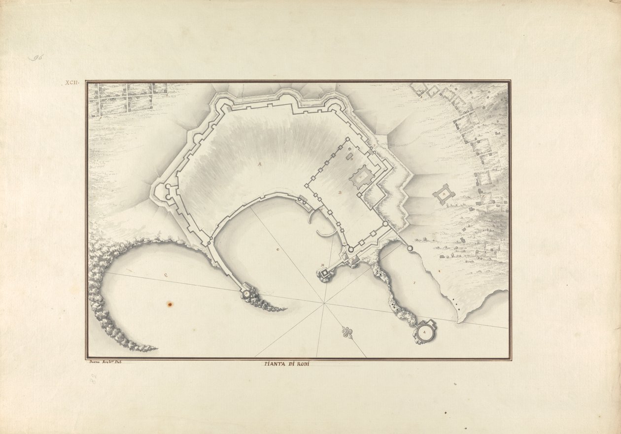 Rodoszi növény alkotó: Giovanni Battista Borra