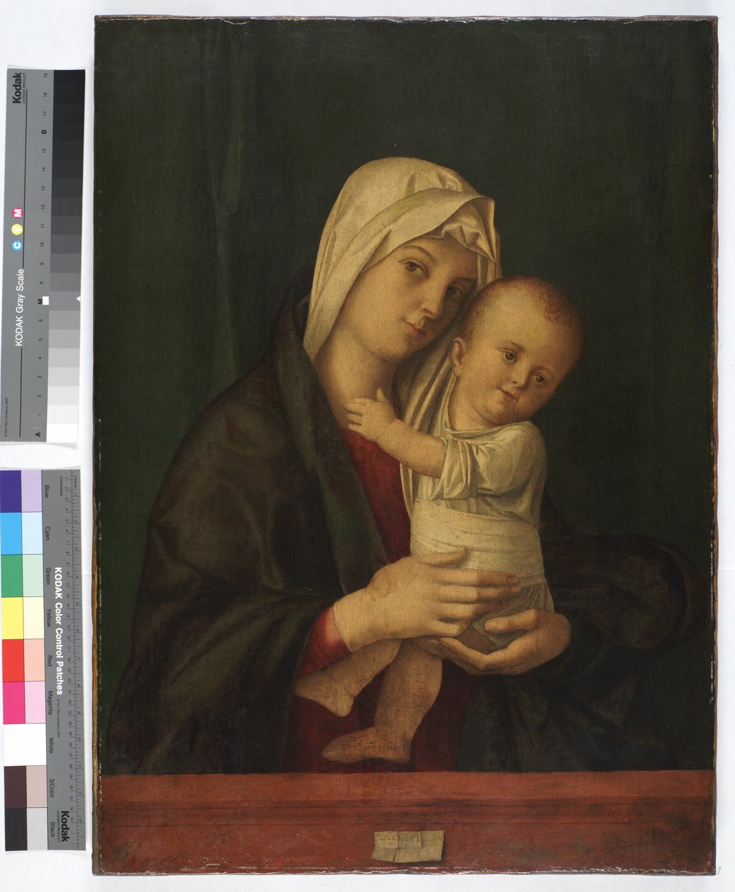 Madonna és gyermeke, 1489 körül (olaj, vászon) alkotó: Giovanni Bellini