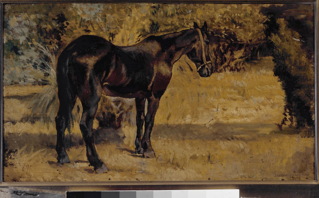 Sötét ló (olaj, vászon alkotó: Giovanni Fattori