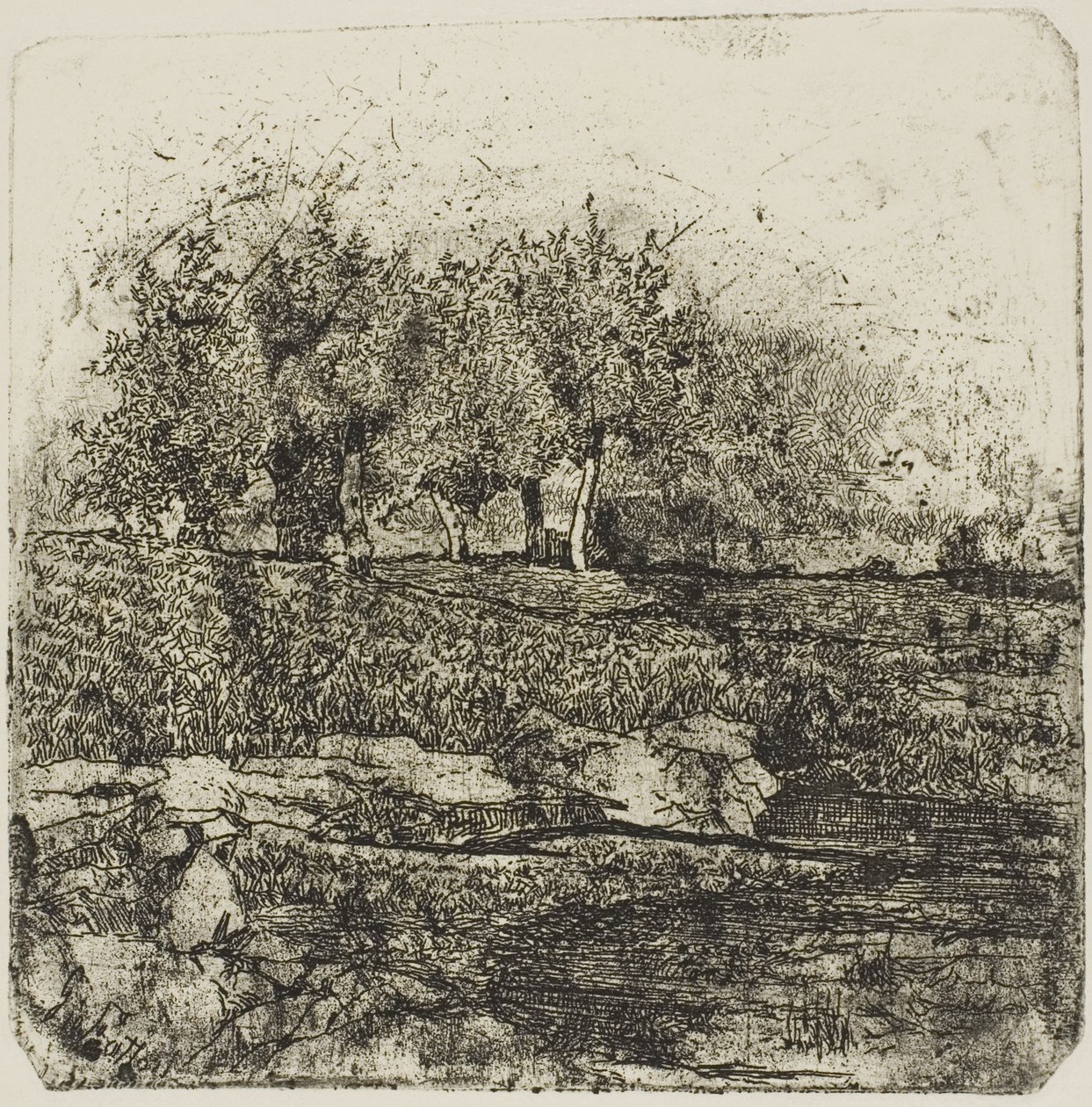 Fák a réten alkotó: Giovanni Fattori