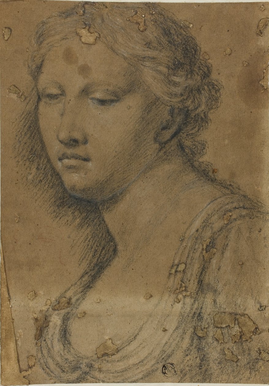 Nő mellszobra alkotó: Girolamo da Carpi