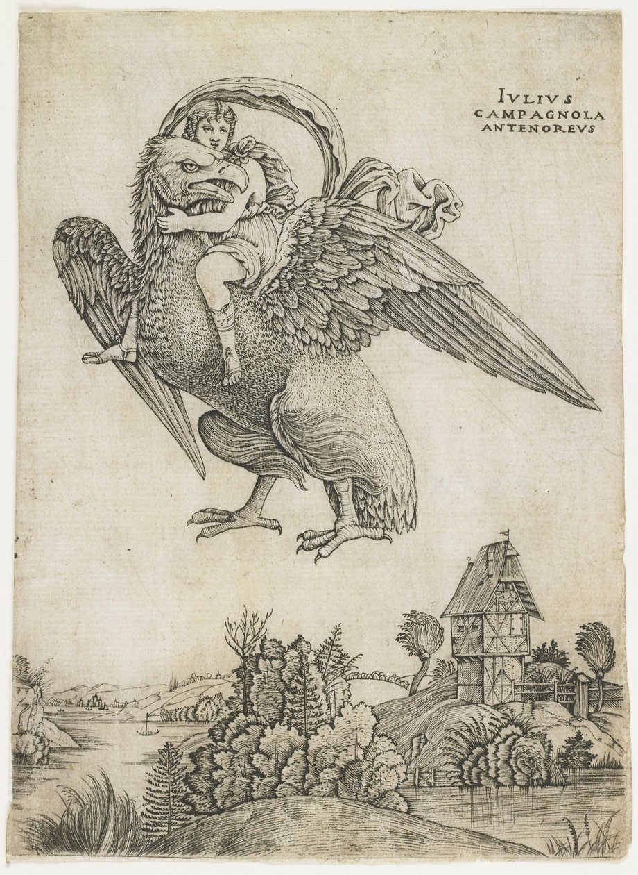 Ganymedes, c. 1500-1505 alkotó: Giulio Campagnola