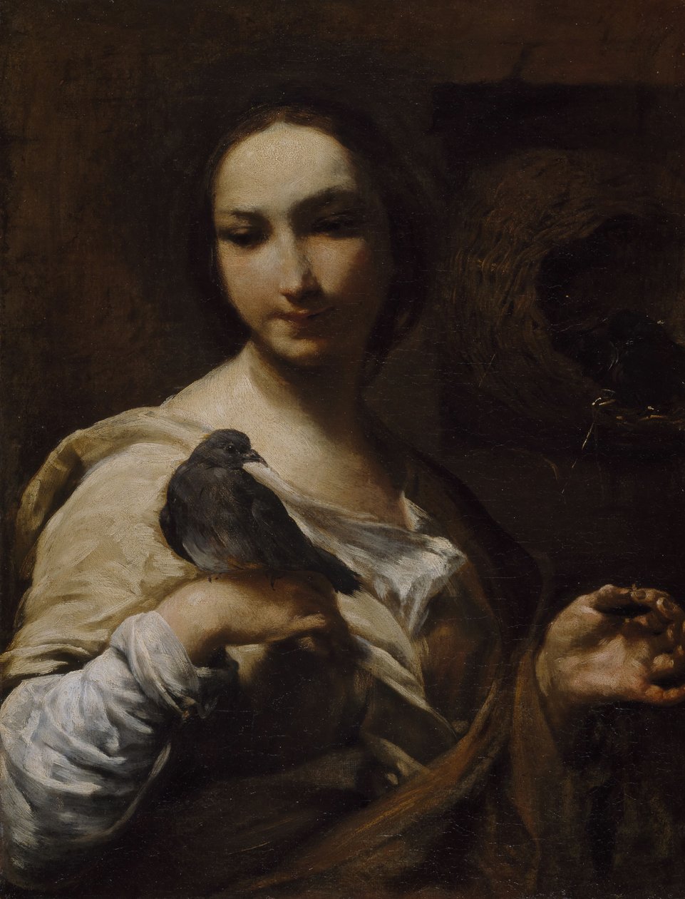 Galambot tartó lány, 1721-27. alkotó: Giuseppe Maria Crespi