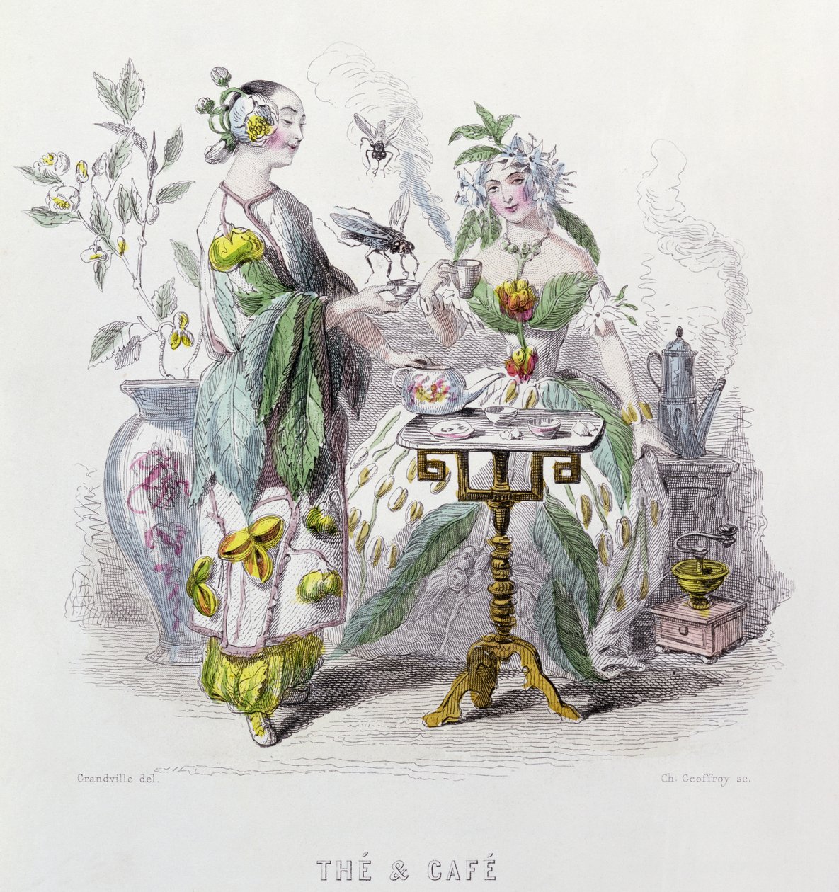 Tea és kávé a „Les Fleurs Animees”-ből, Charles Geoffrey (1819-82) metszete, 1847 alkotó: Grandville
