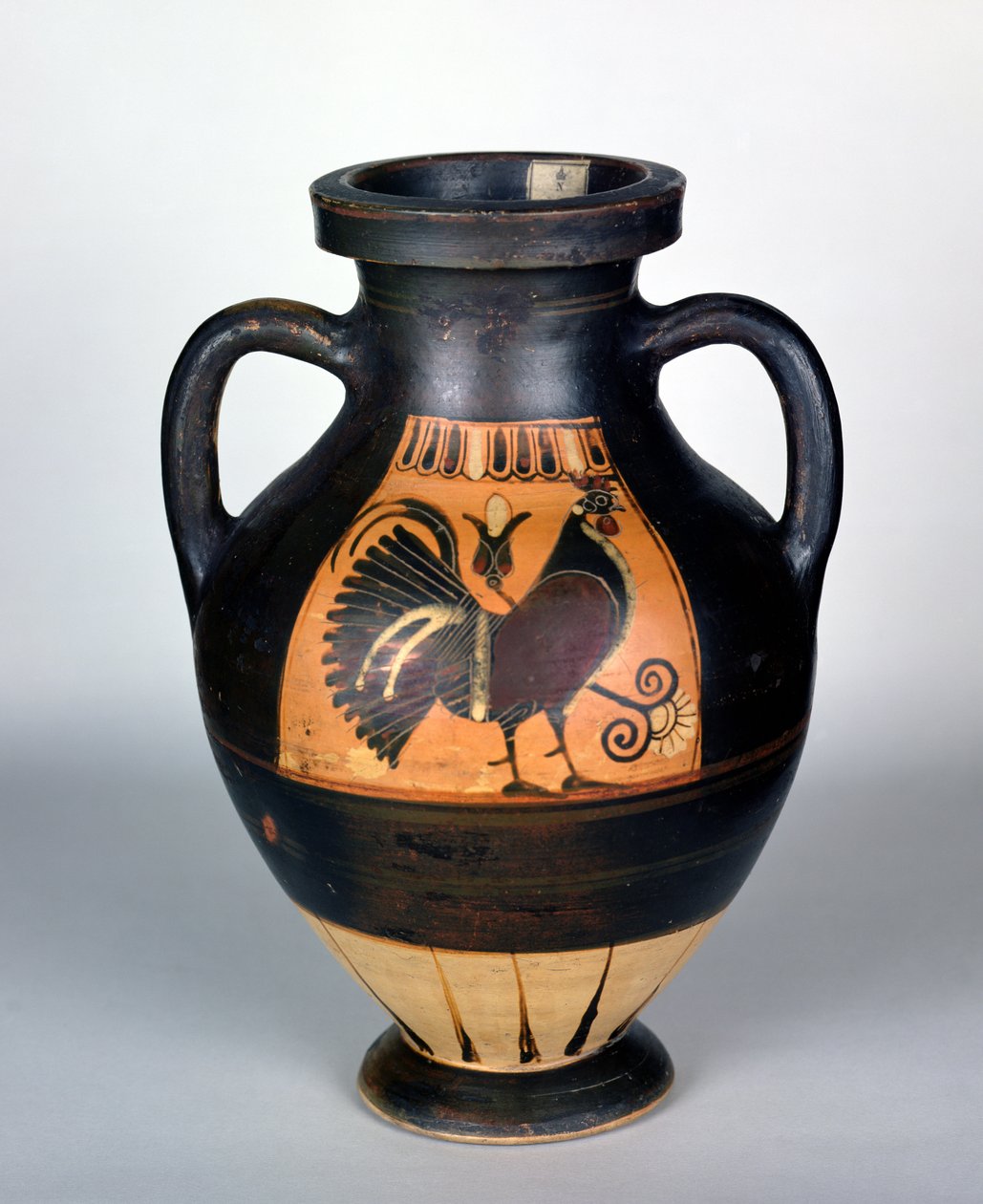 Amphora kakast ábrázol, korinthoszi stílusú (kerámia) alkotó: Greek