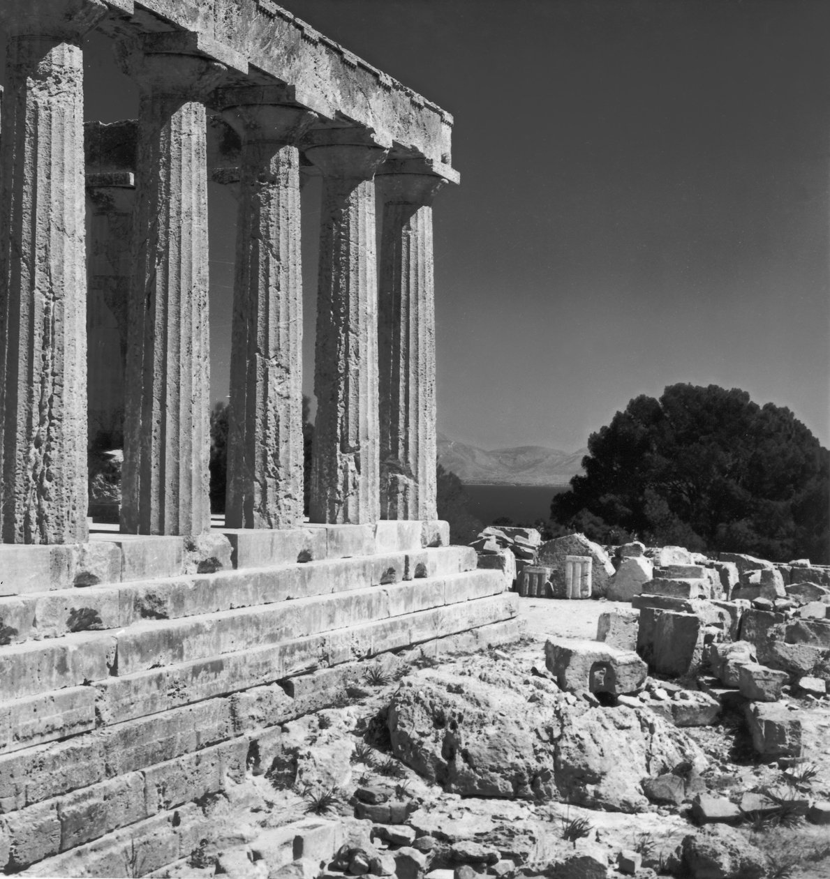 Aphaia temploma alkotó: Greek