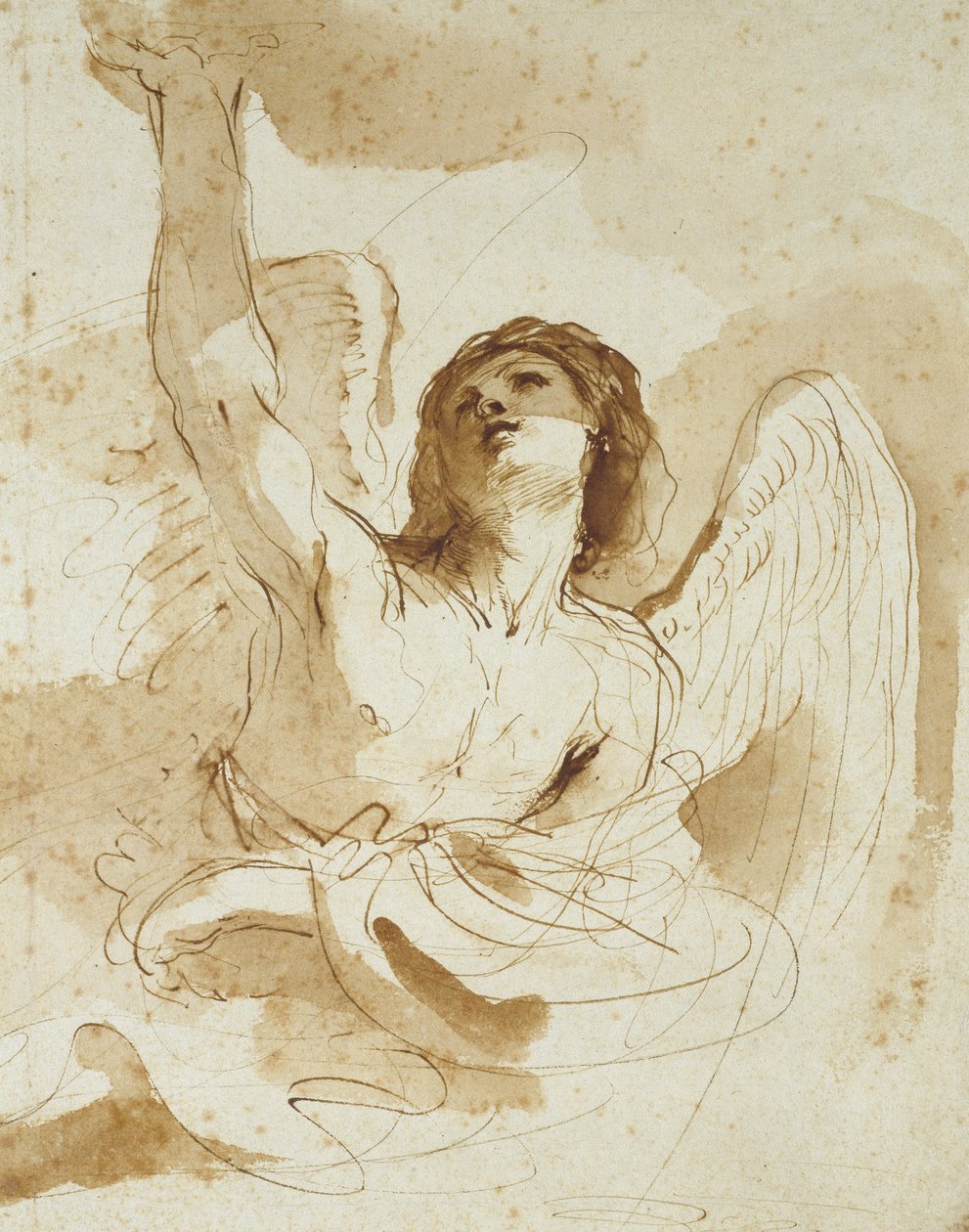 Angyal (toll és barna tinta barna mosással törtfehér papíron) alkotó: Giovanni Francesco Barbieri