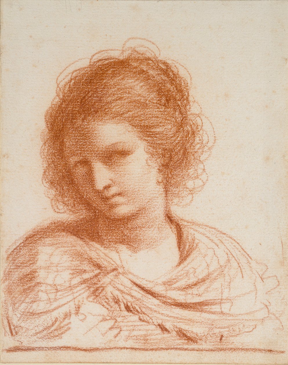 Egy fiatal nő feje, 1550-1666 alkotó: Guercino