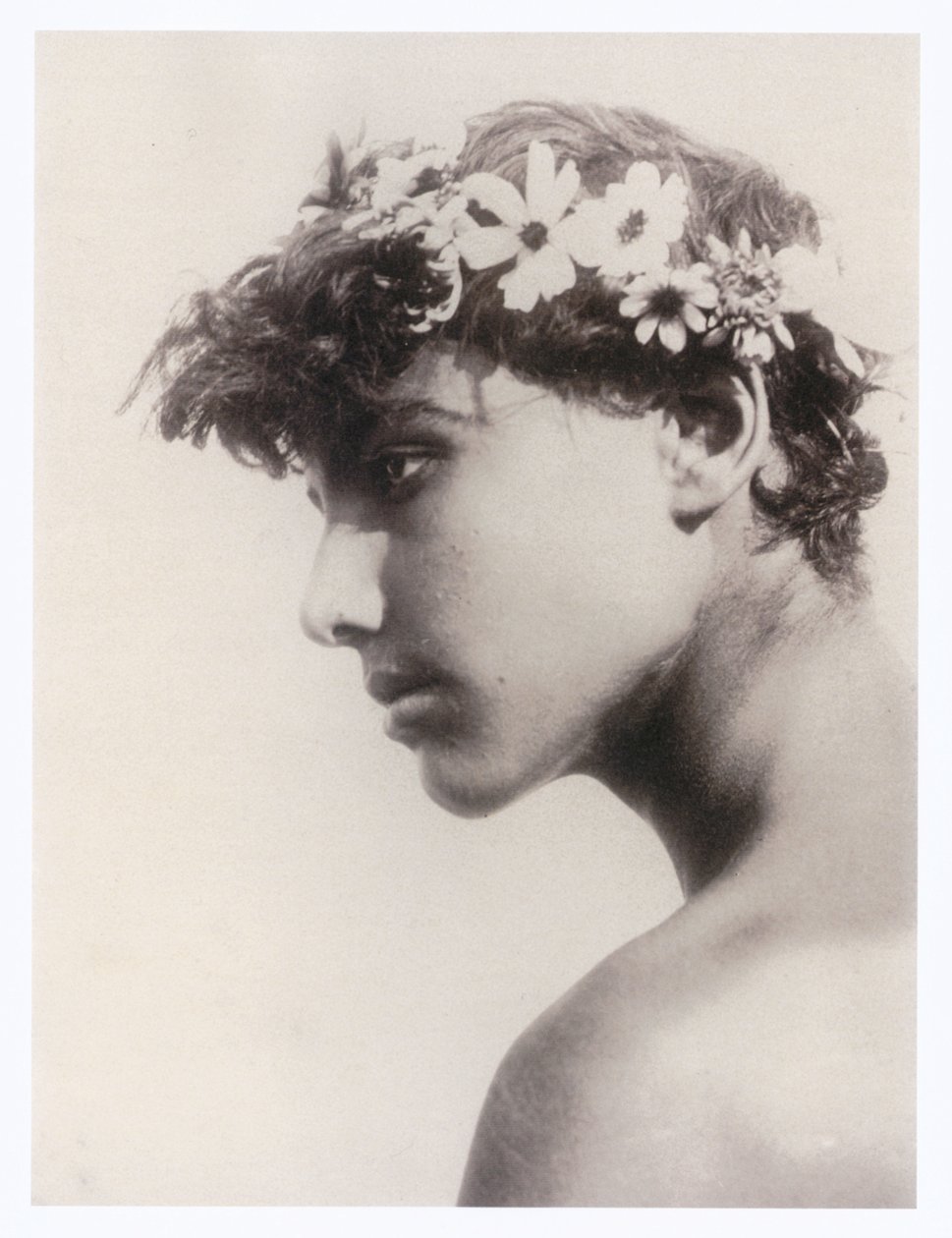 Egy fiú portréja (fotó) alkotó: Guglielmo (1852 1930) Plüschow