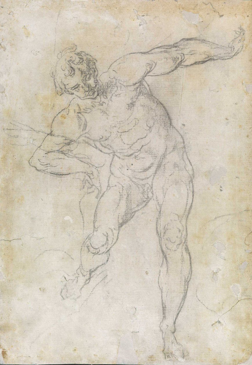 Férfi meztelen tanulmány alkotó: Guido Reni