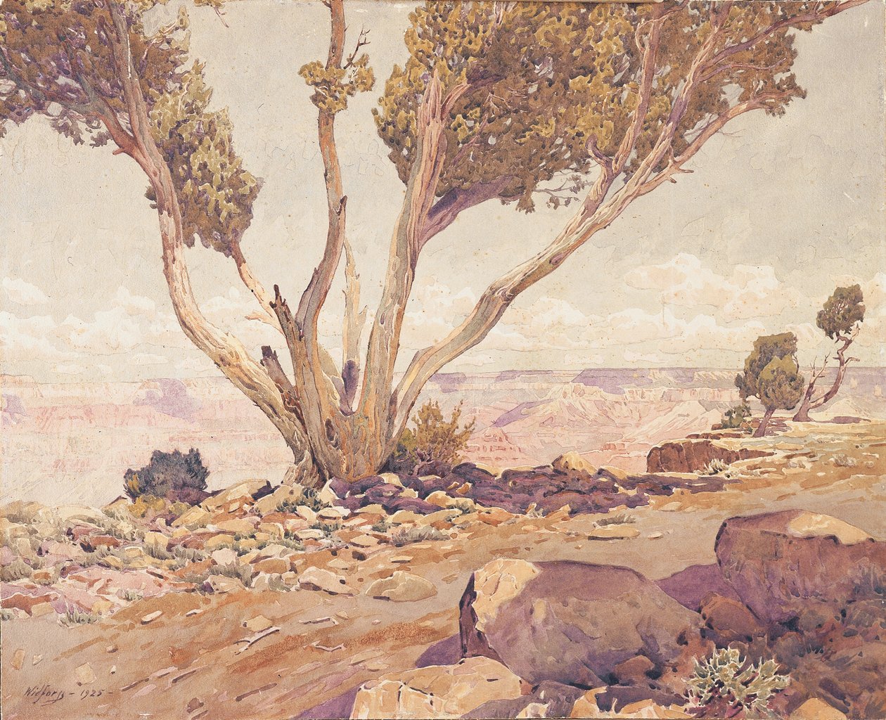 Grand Canyon alkotó: Gunnar Widforss