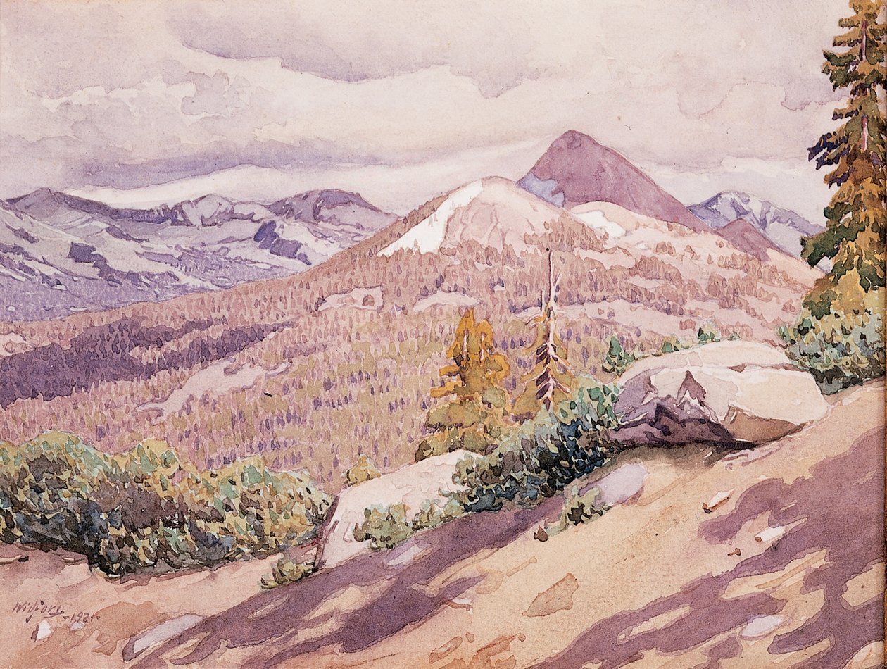 High Sierra alkotó: Gunnar Widforss