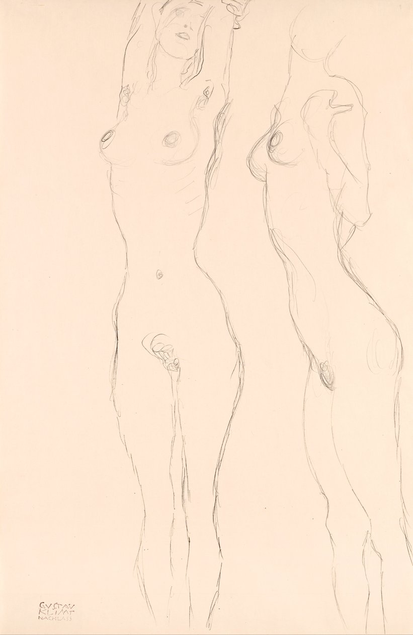 Két akt, a bal emelt karokkal alkotó: Gustav Klimt