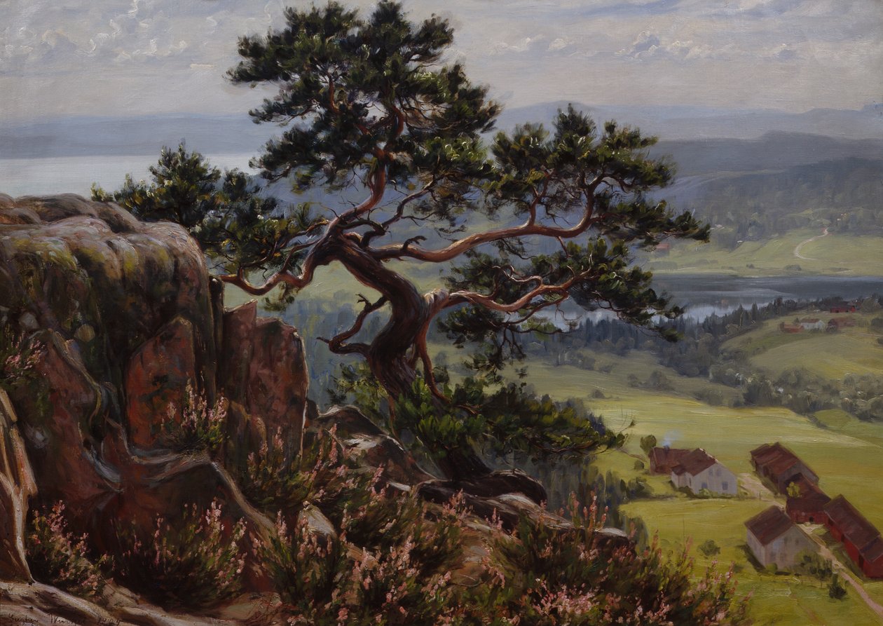 Kilátás Vardåsenre alkotó: Gustav Wentzel