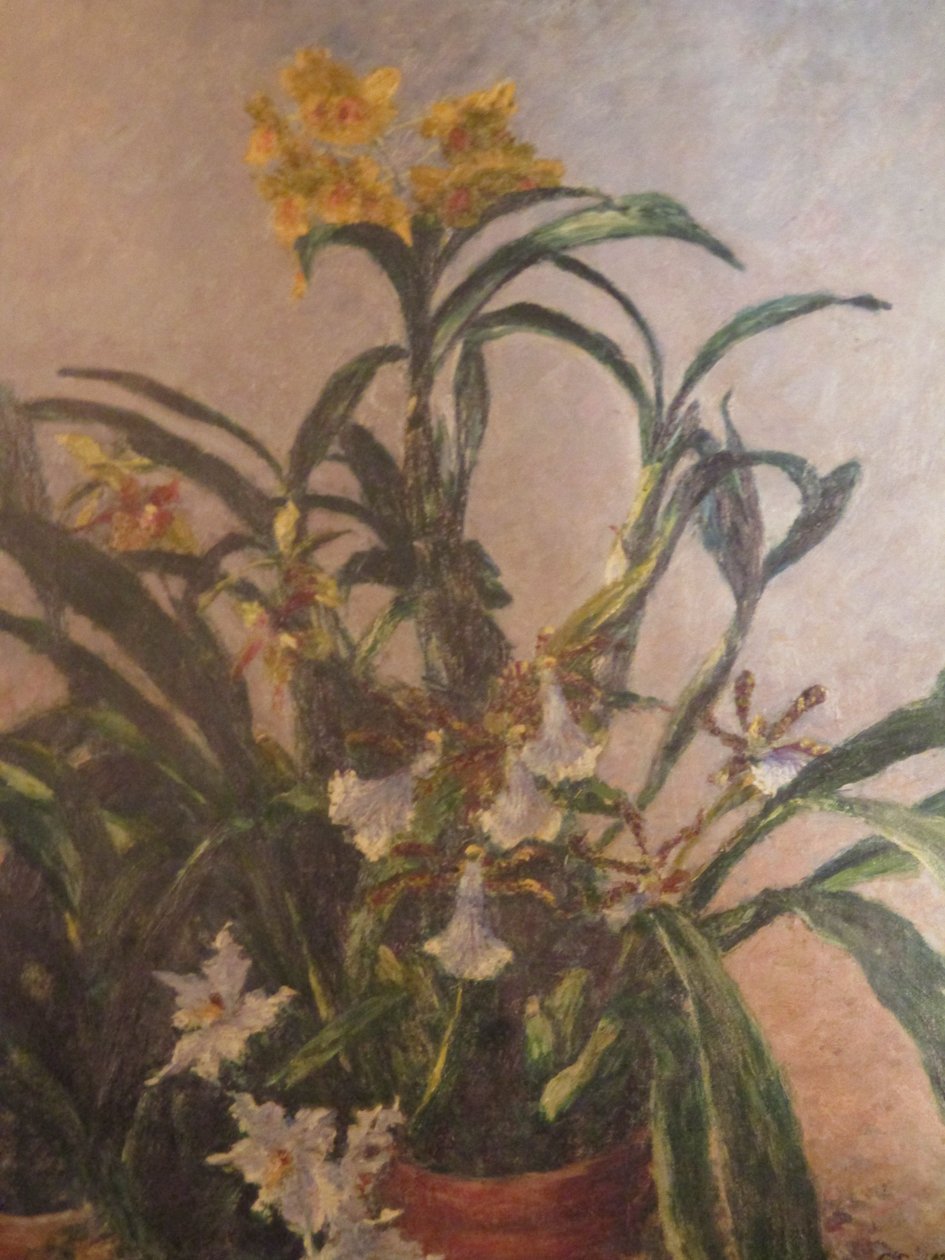 Sárga orchideák alkotó: Gustave Caillebotte