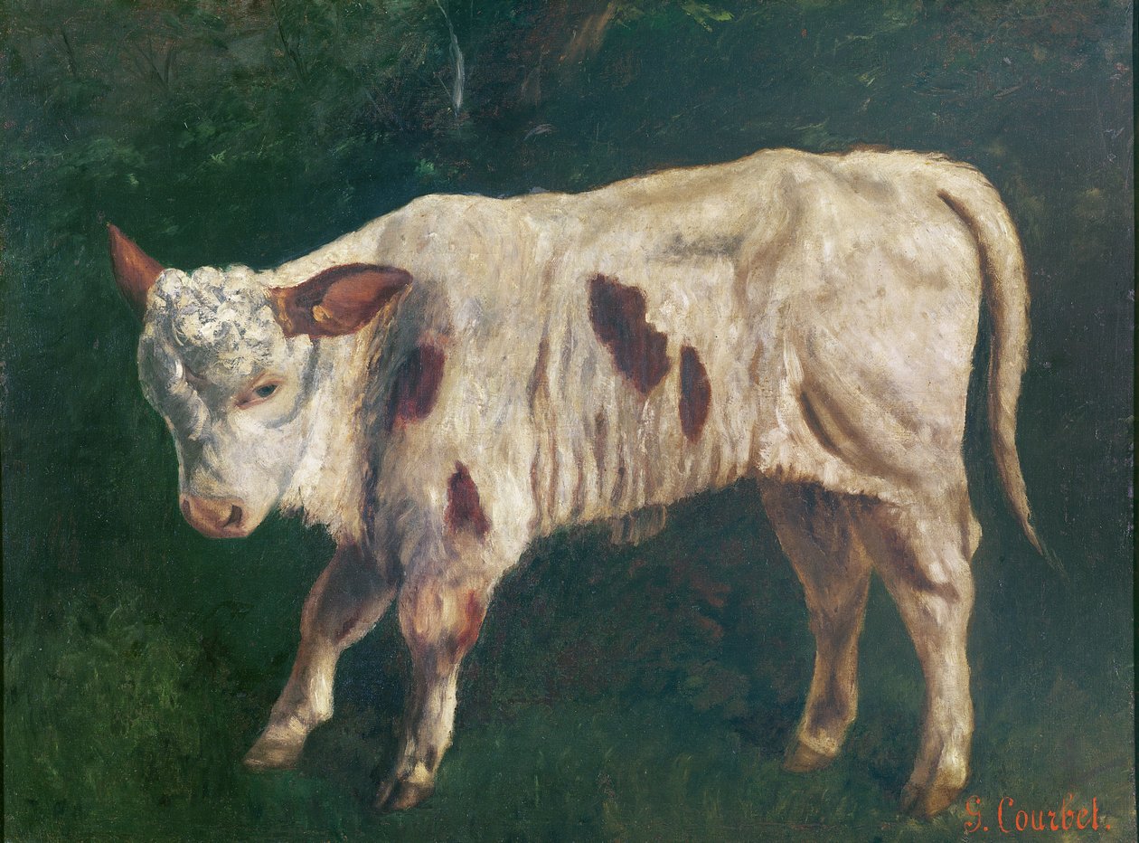 Egy borjú alkotó: Gustave Courbet
