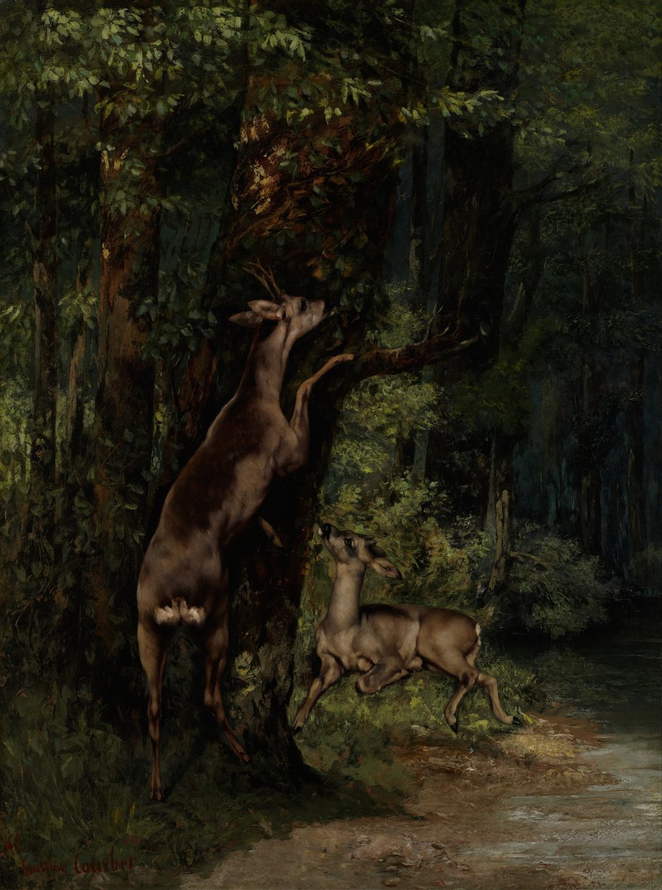 Szarvas az erdőben alkotó: Gustave Courbet
