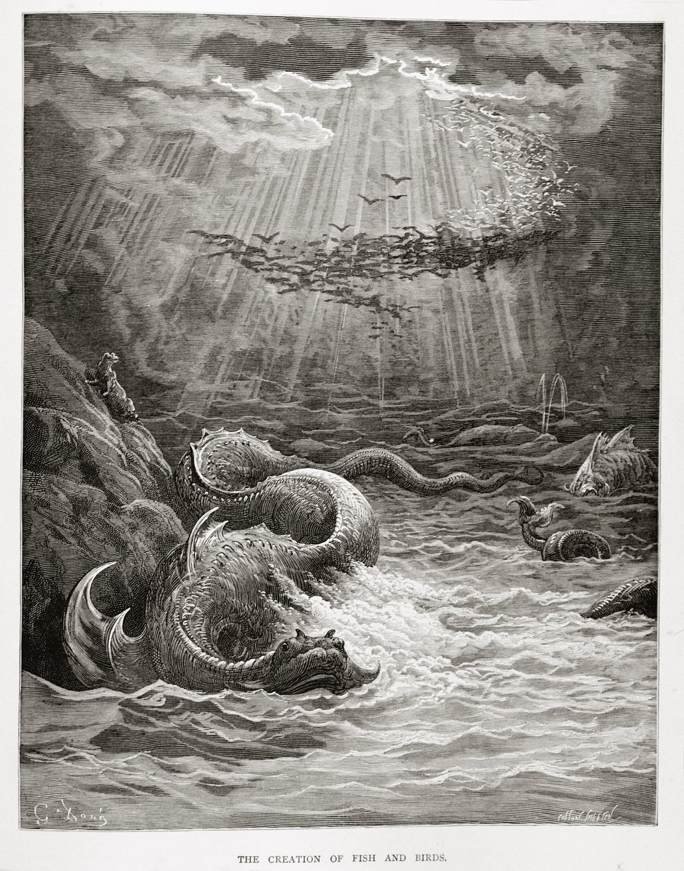 A halak és madarak teremtése az Elveszett Paradicsomból, John Milton (1608-74), vésette Collon Smeeton, 1868 körül alkotó: Gustave Dore
