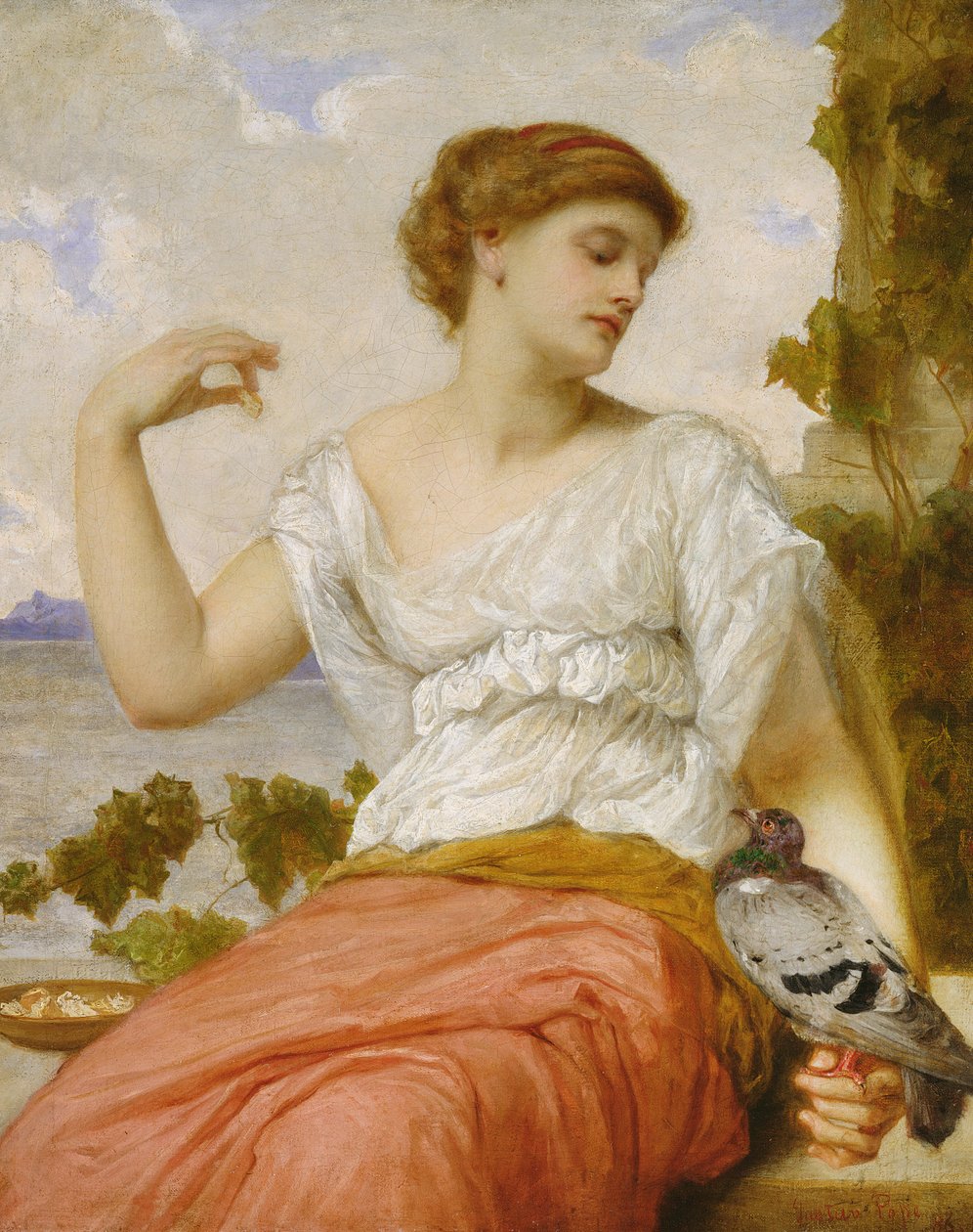 A házi galamb, 1886 alkotó: Gustave Pope