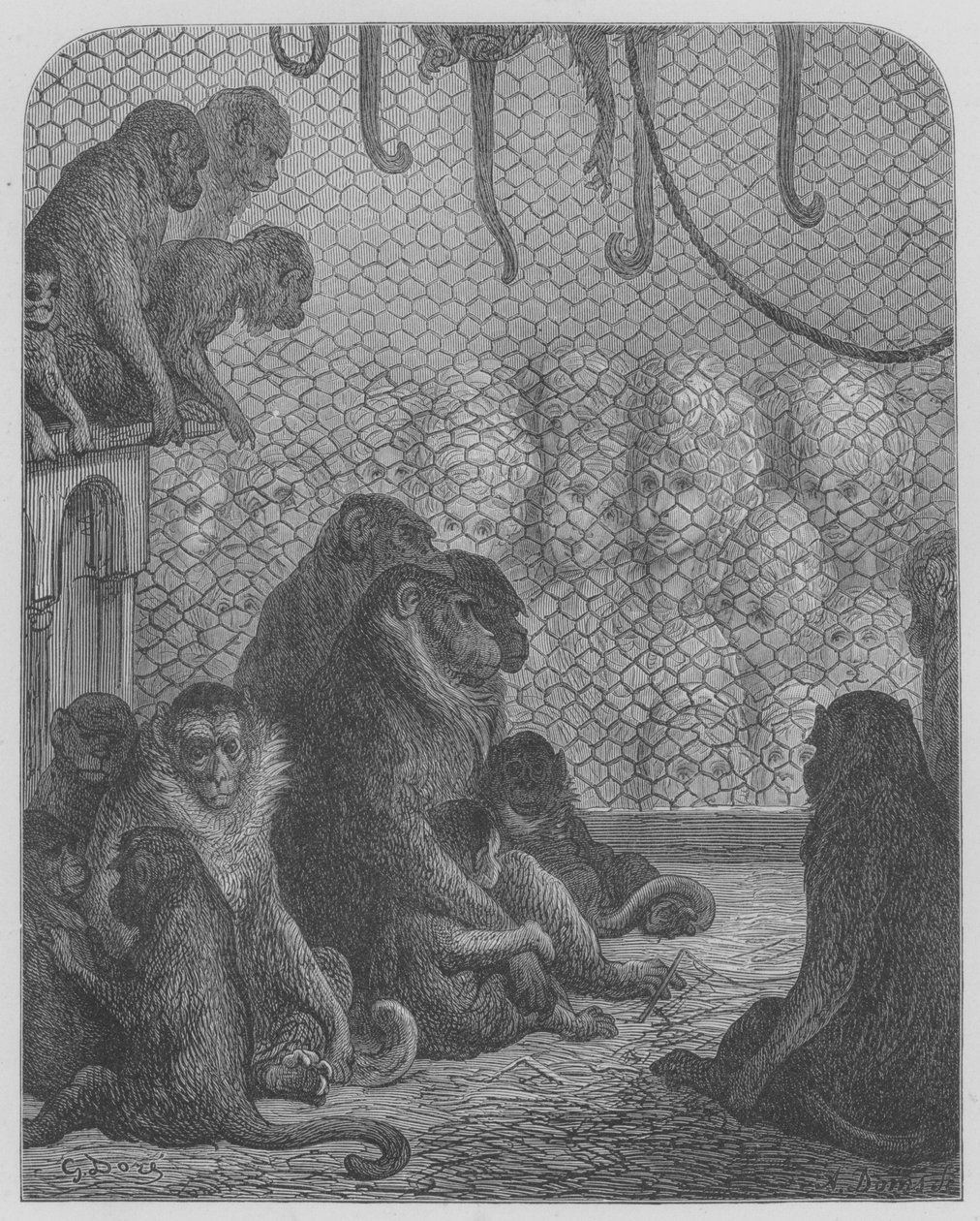 Állatkert, A majmok alkotó: Gustave after Dore