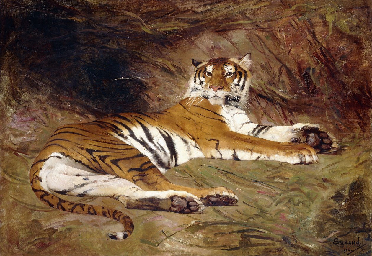 Egy fekvő tigris alkotó: Gustave Surand
