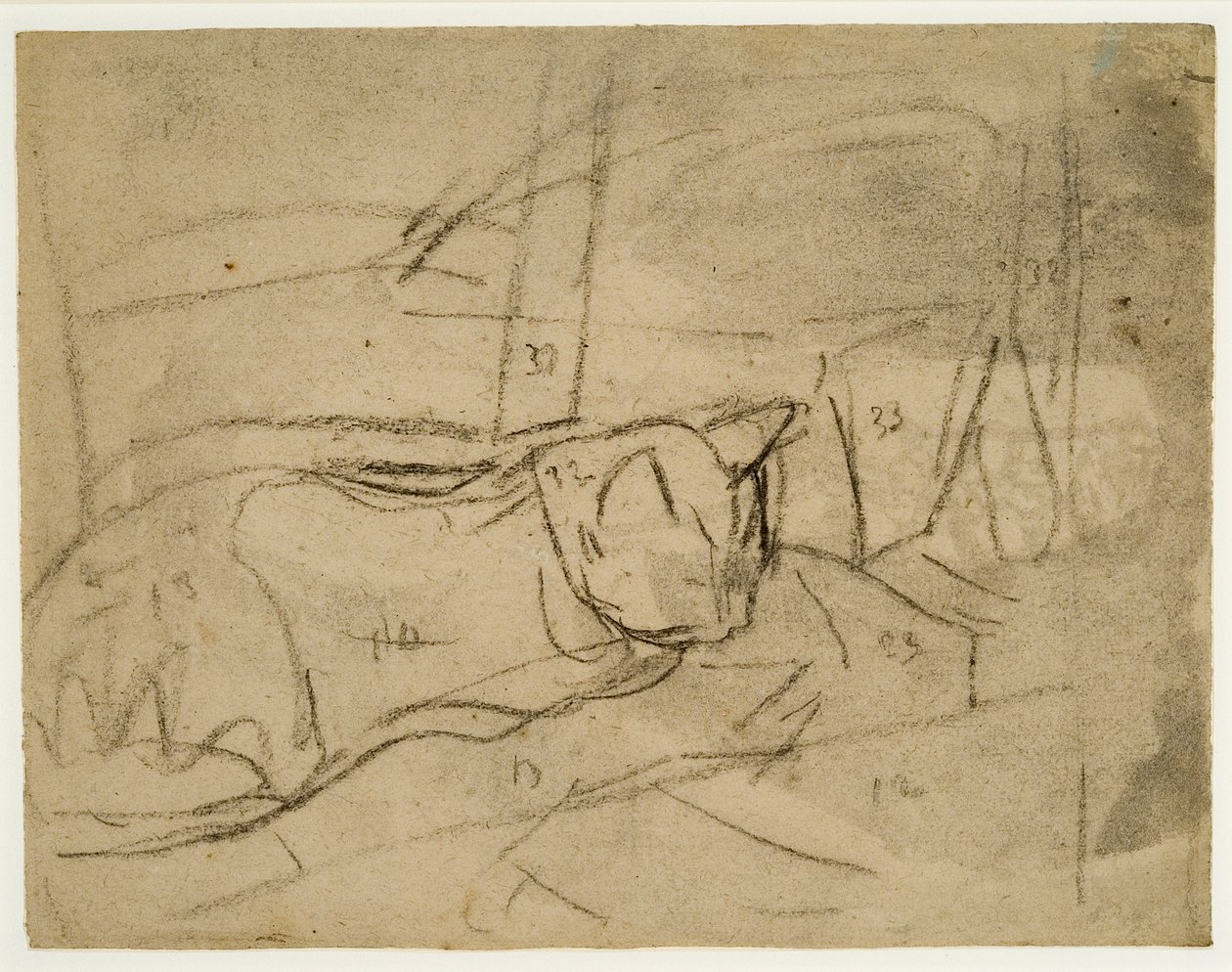 Macskatanulmányok (szén, papír) alkotó: Gwen John