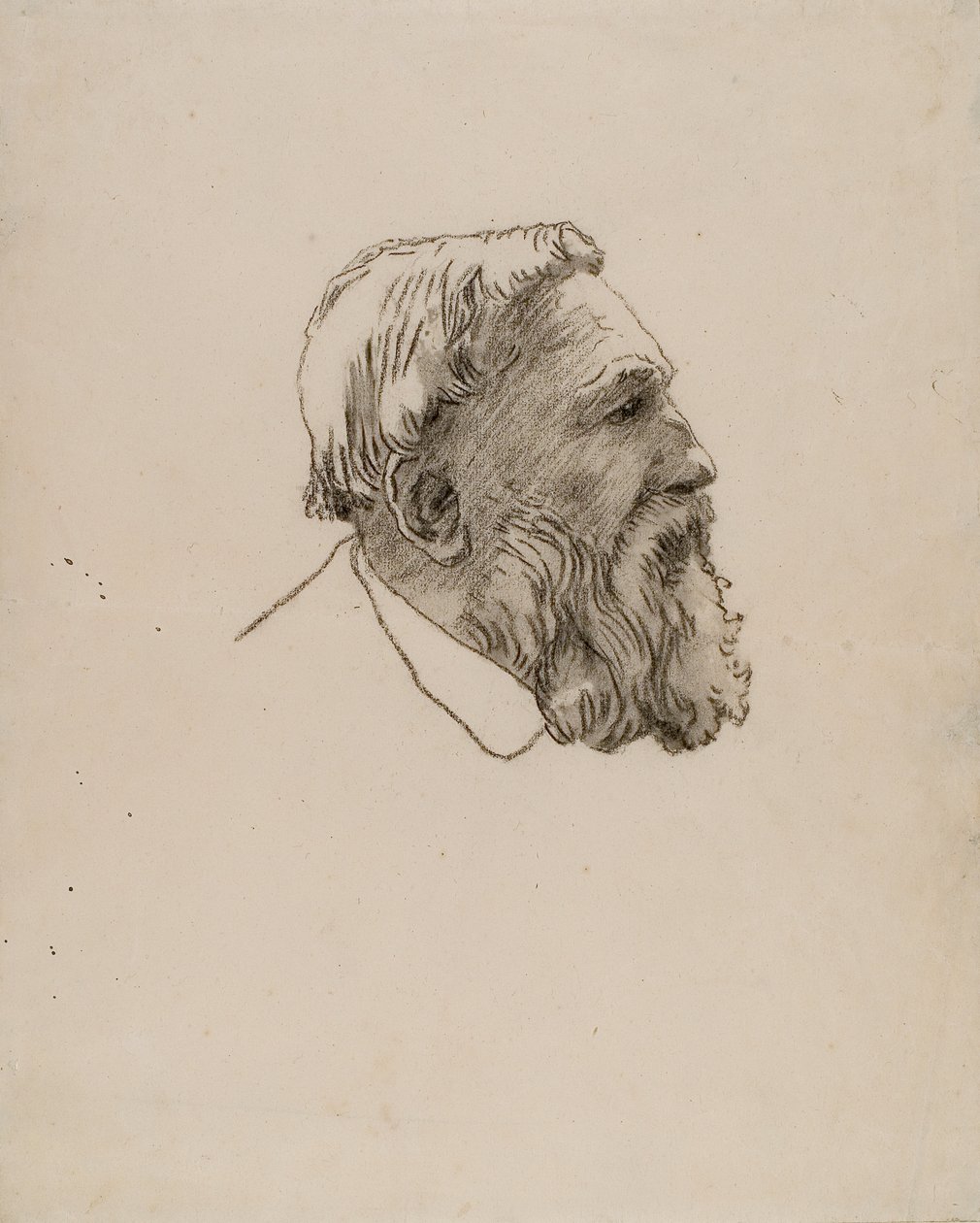 Rodin feje (szén, papír) alkotó: Gwen John
