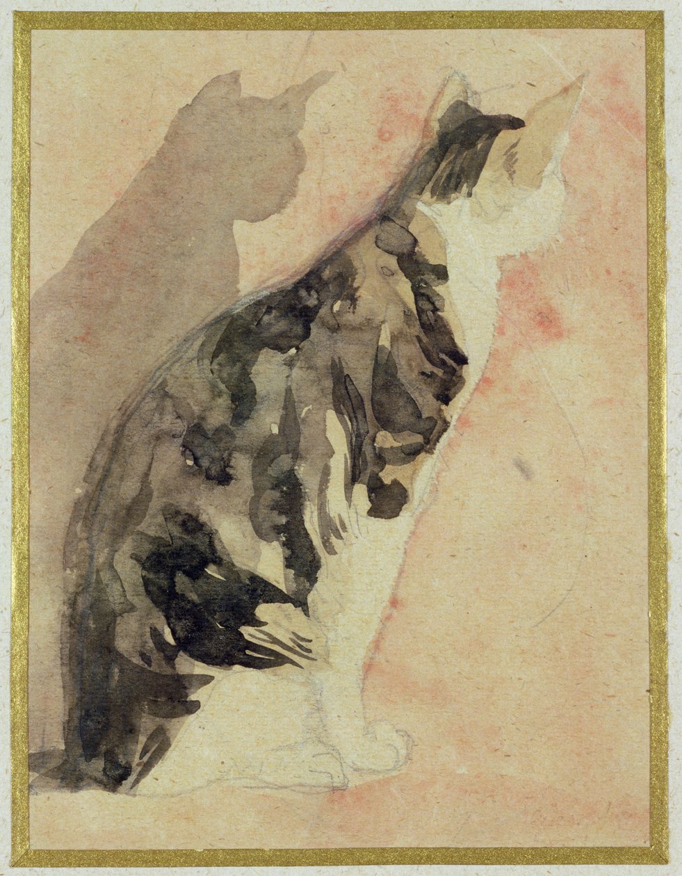 Tanulmány egy macskáról alkotó: Gwen John
