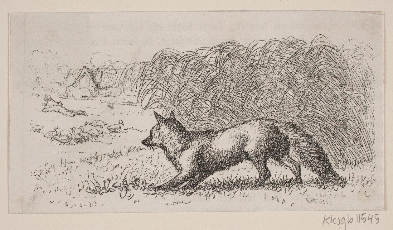 Illusztráció ehhez: "Mr. Mikkel" alkotó: H. C. Henneberg