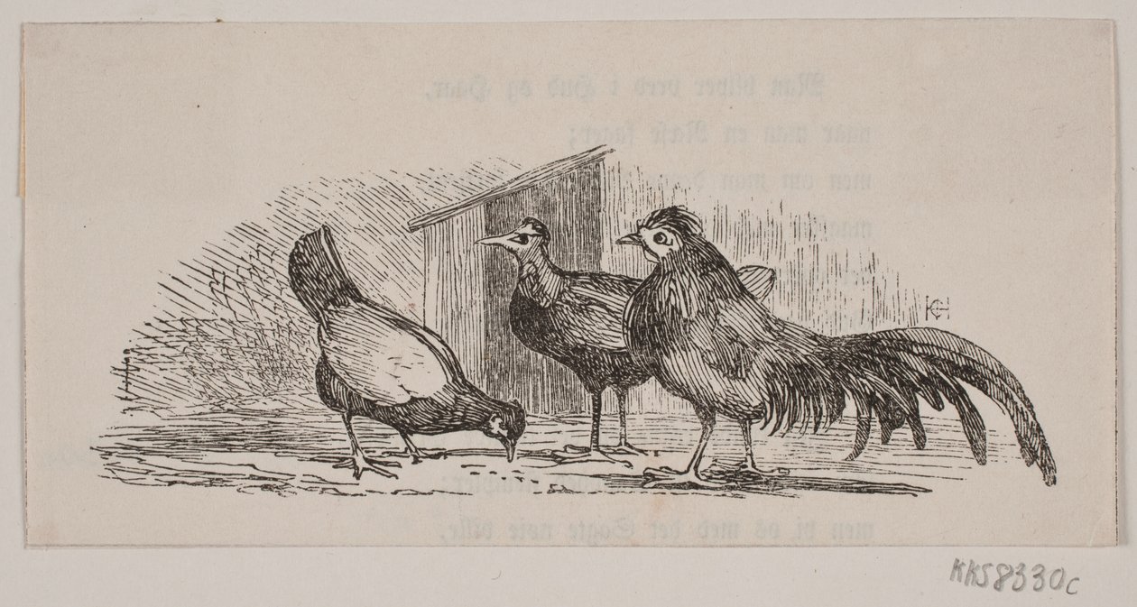 Három csirke alkotó: H. C. Henneberg