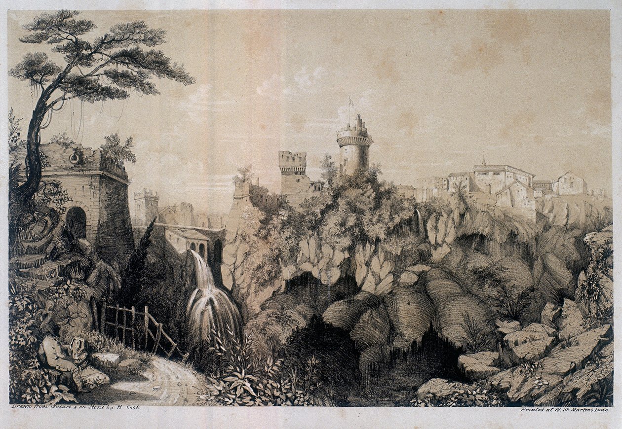 Metszés alkotó: H. R. Cook