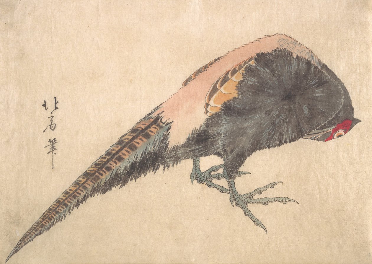 Madár, 1830-as évek. alkotó: Hakusanjin Hokui