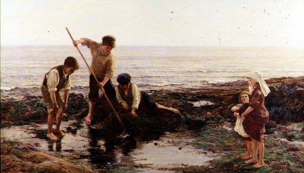 Garnélarák alkotó: Hamilton Macallum