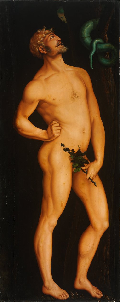 Ádám alkotó: Hans Baldung Grien