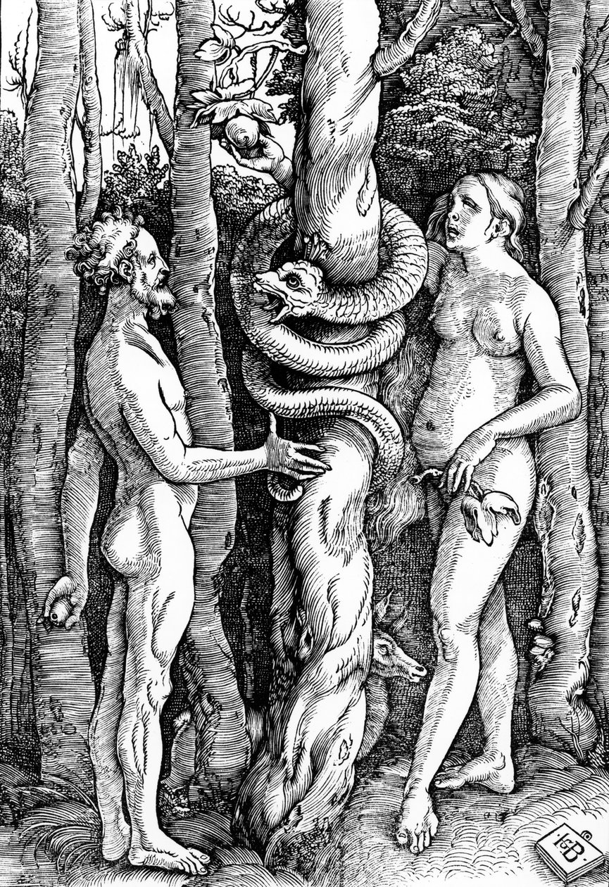 Az ember bukása, 1514 körül alkotó: Hans Baldung Grien