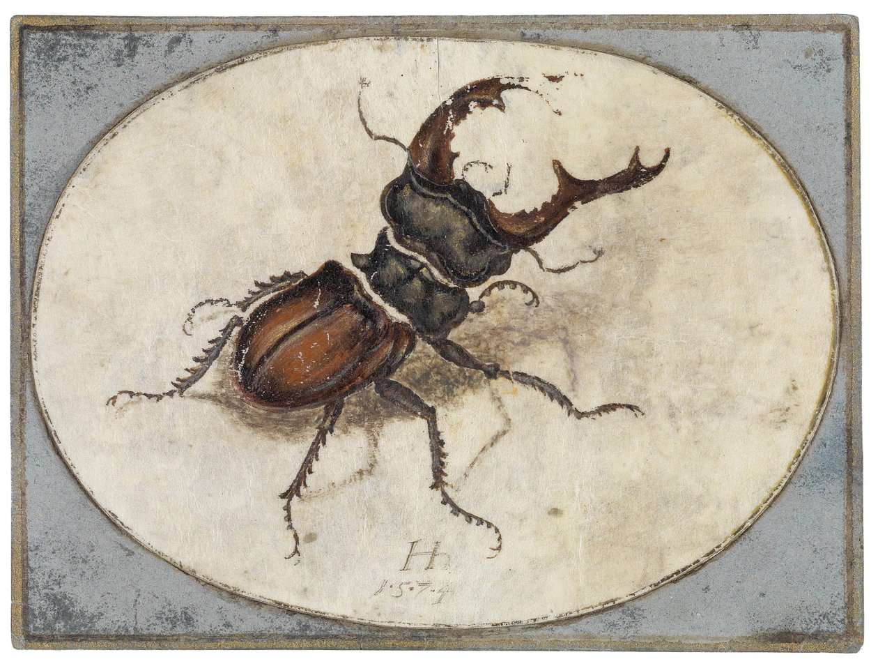 Szarvasbogár (Albrecht Dürer után) alkotó: Hans Hoffmann