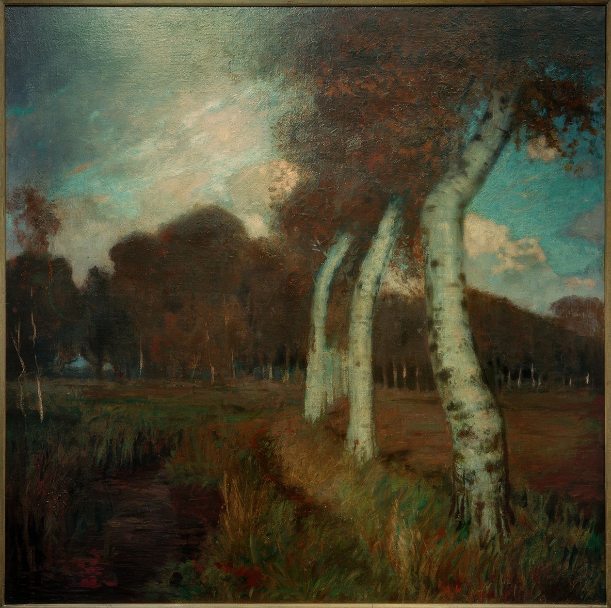 Nyírfák ősszel alkotó: Hans am Ende