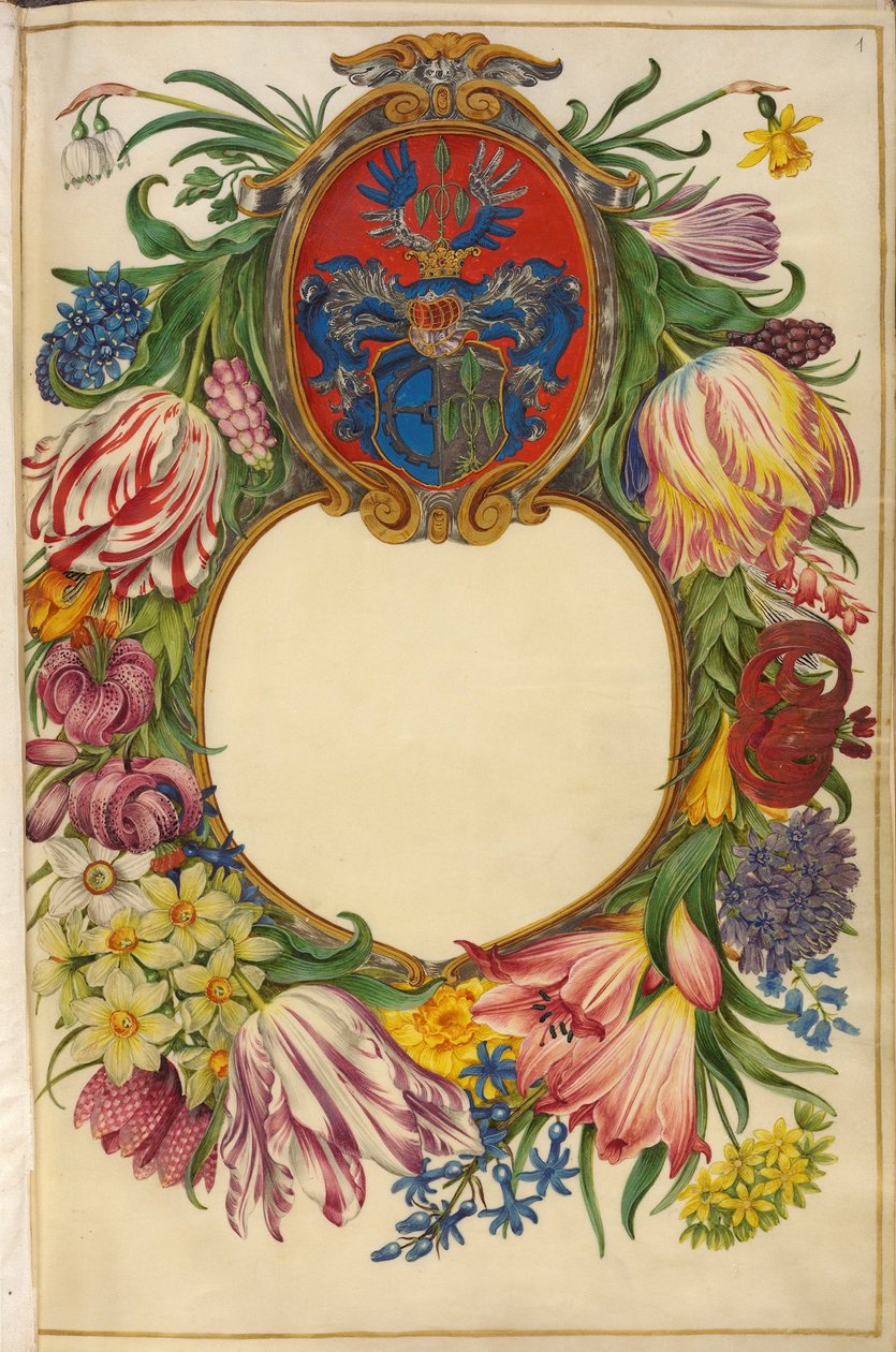 Német: Címlap Moller-Florilegium (1) alkotó: Hans Simon Holtzbecker