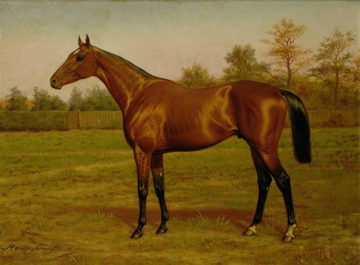 Isinglass, hármas korona, 1893 alkotó: Harrington Bird