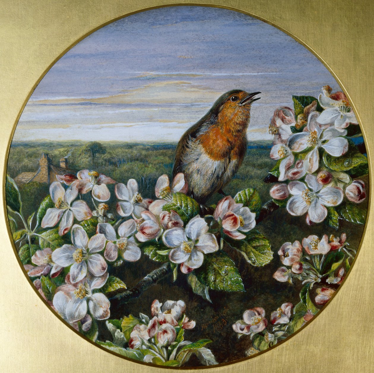 Robin Virágok között alkotó: Harrison William Weir