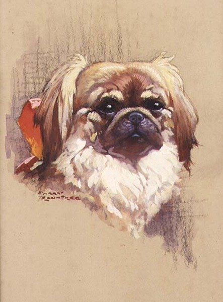 Vörös szalag alkotó: Harry Rountree