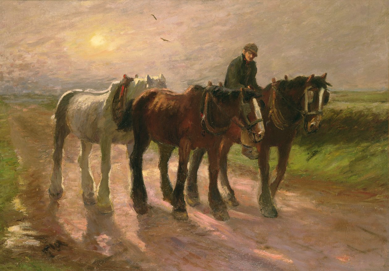 Hazafelé alkotó: Harry Fidler